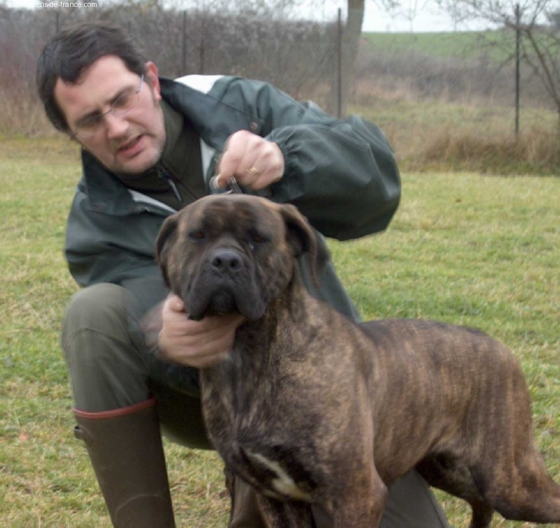 Vanille des Loups Des Carrières