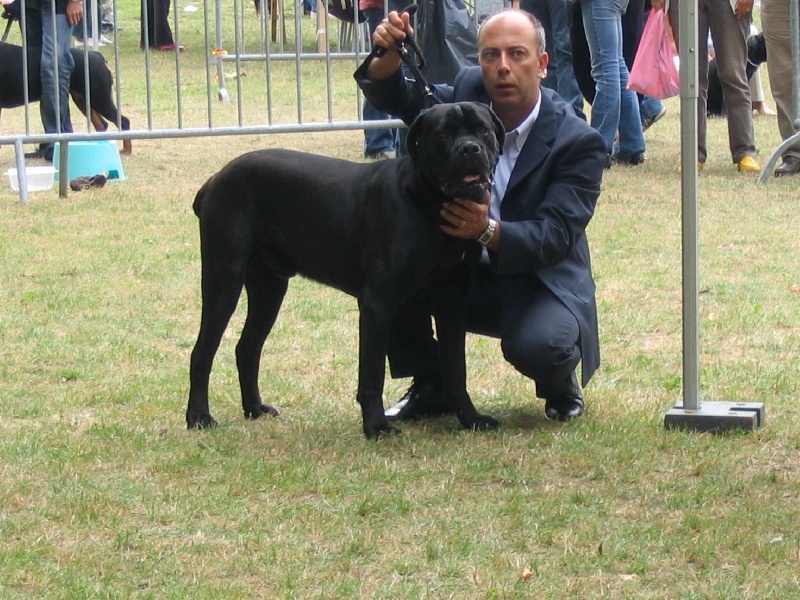 Charlie des Loups Des Carrières
